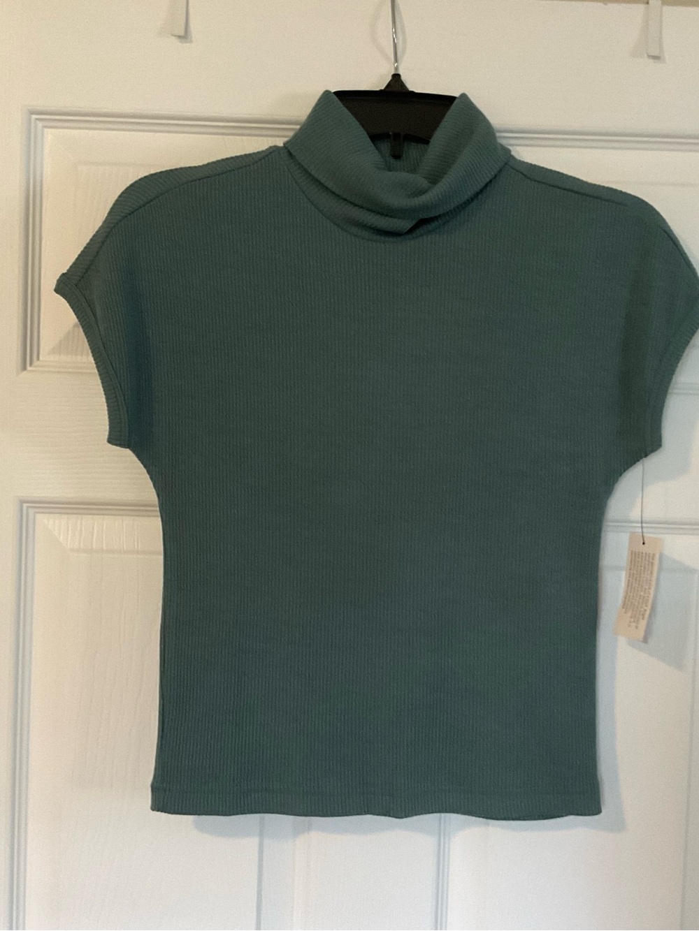 Cap sleeve Turtleneck Knit Top - Teal Green